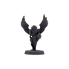 Aarakocra Monk Male