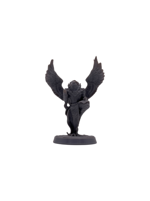 Aarakocra_M_Monk Aarakocra Monk Male