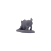 Boar
