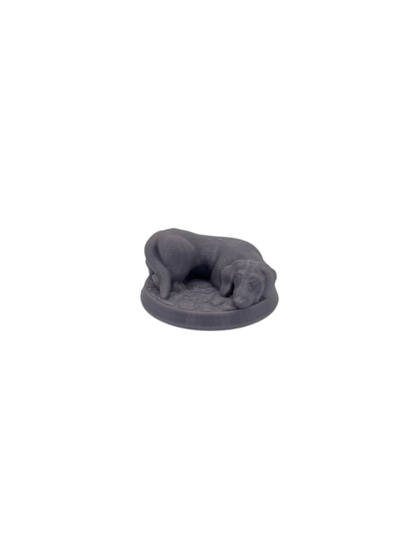 Dog-Dachshund