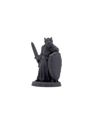 Dragonborn Paladin Female