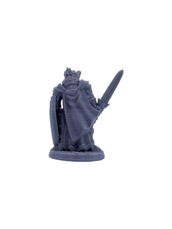 Dragonborn_F_Paladin_Back Dragonborn Paladin Female