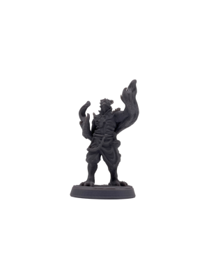 Dragonborn Sorcerer Male