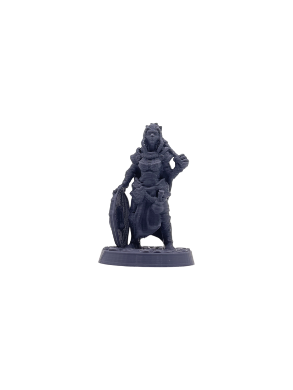 Elf_F_Cleric Elf Cleric Female
