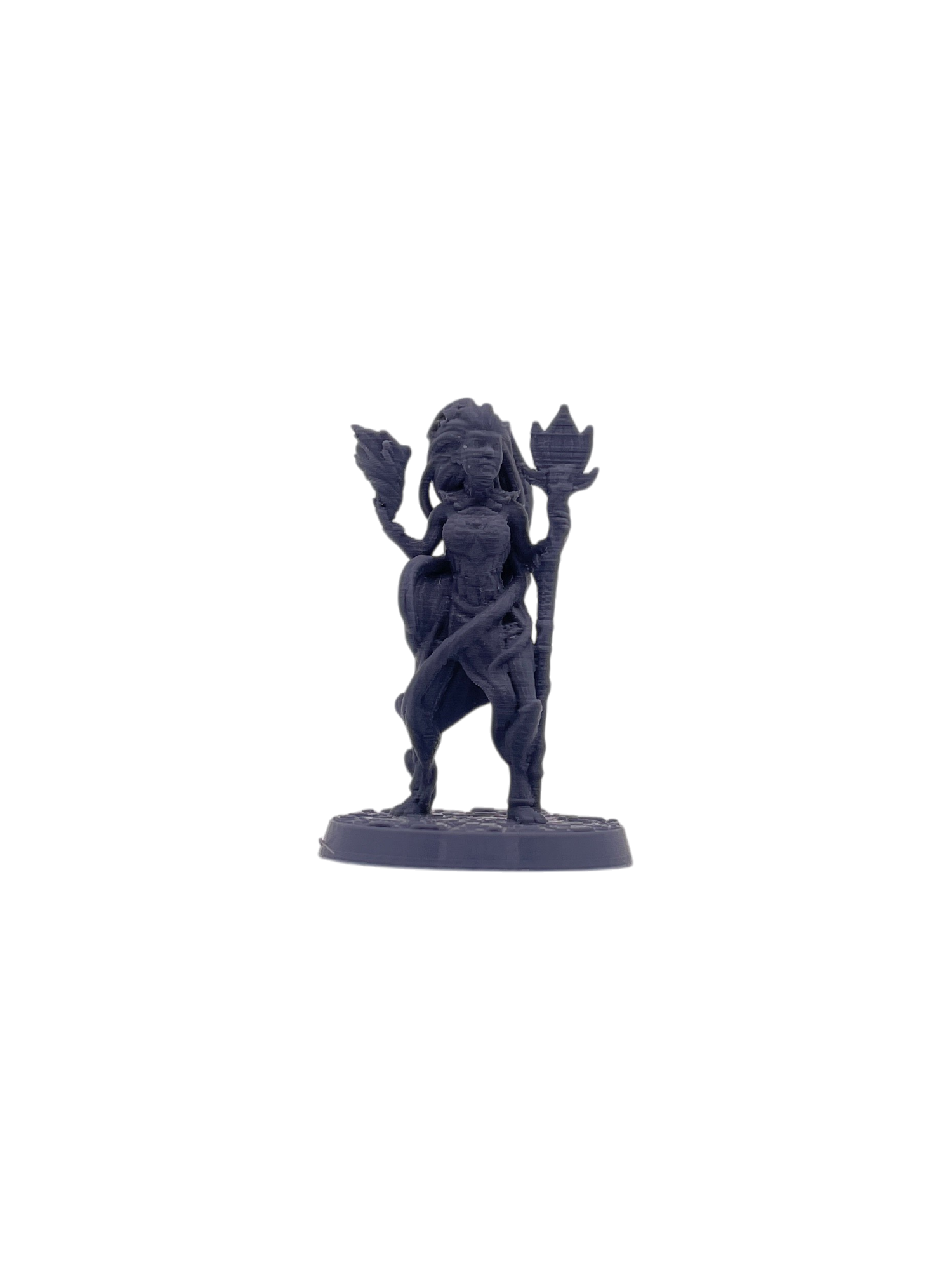 Genasi F Druid 1
