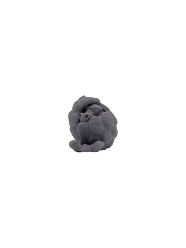 Hatching_Dragon_Egg Hatching Dragon Egg