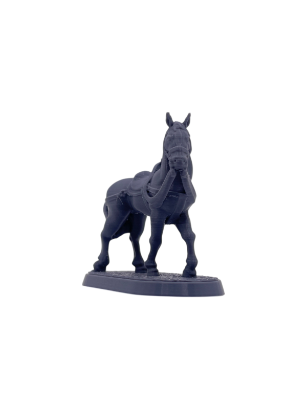 Horse 1
