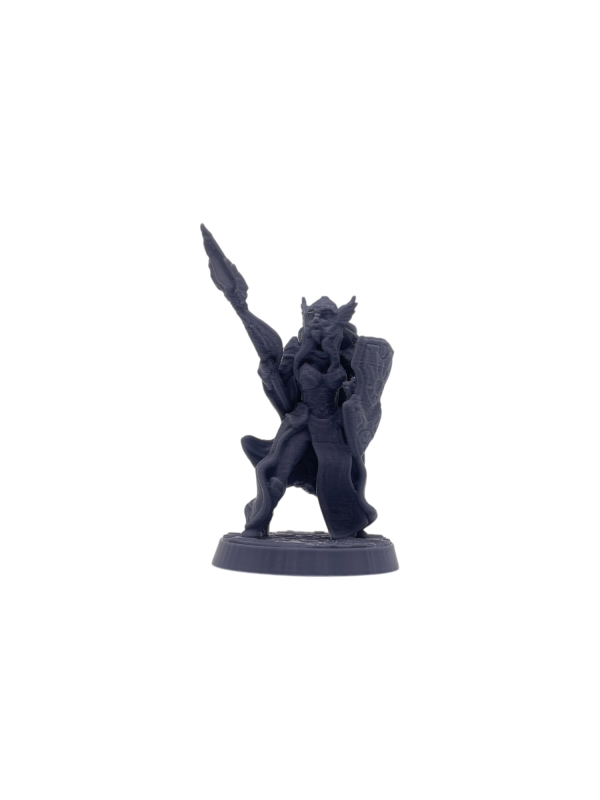 Human Paladin with Spear Female