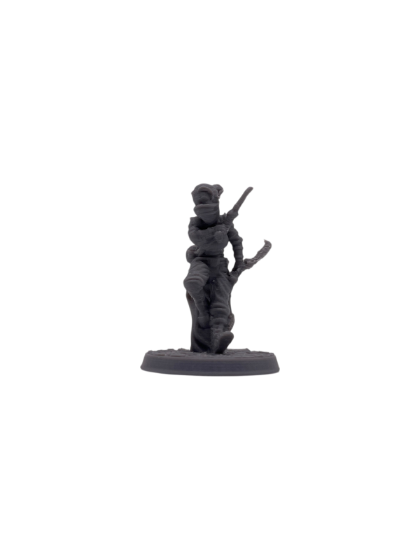Human_F_Rogue Human Rogue Female