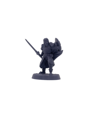 Human Fighter with Shield Male