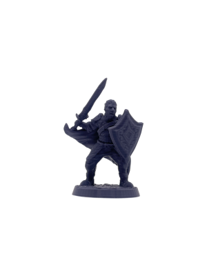 Human Paladin Male