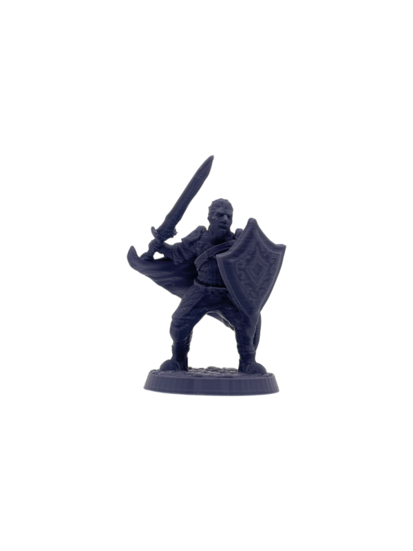 Human Paladin Male