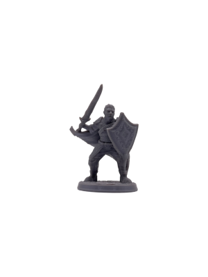 Human Paladin Male