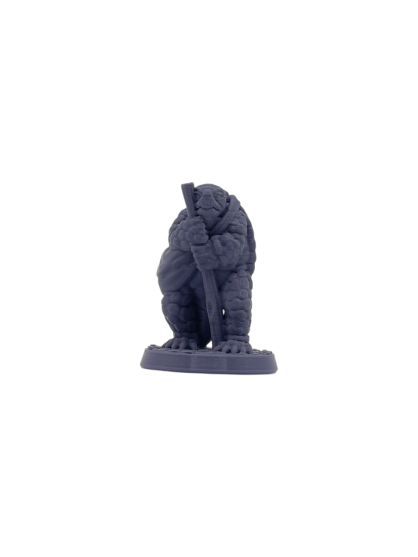 Tortle Monk 1