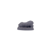 Dog-Dachshund