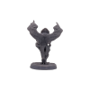 Aarakocra Monk Male