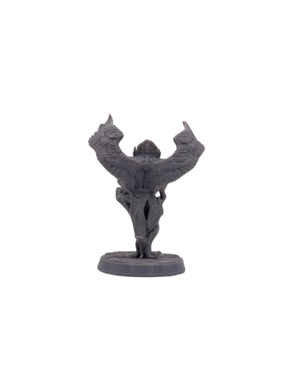 Aarakocra Monk Male
