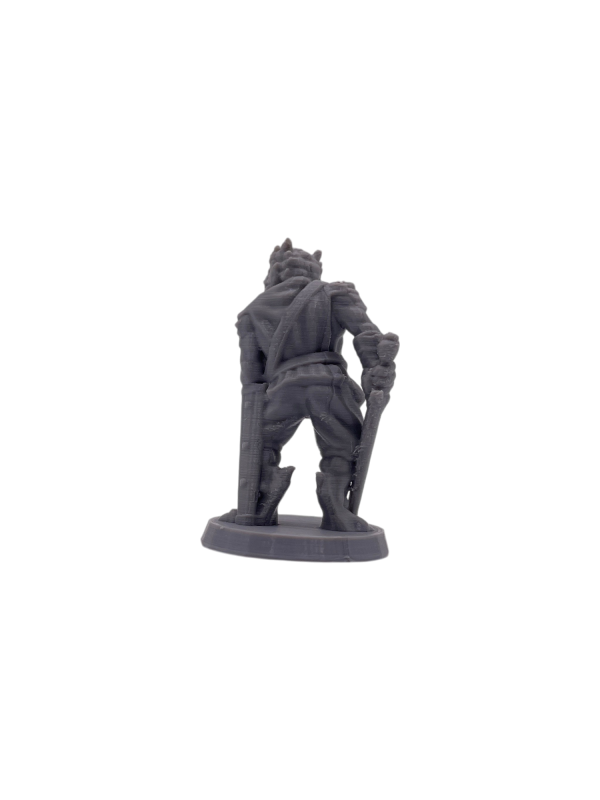 Dragonborn Fighter 1 Male