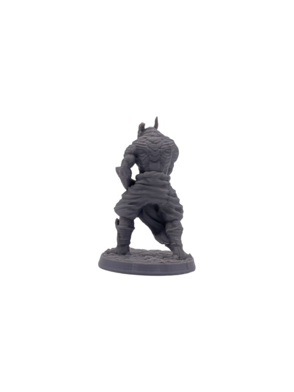 Dragonborn Monk Male