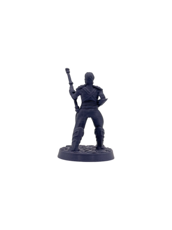 Human Monk Male