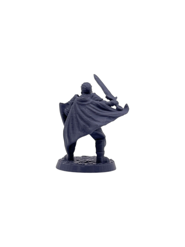 Human Paladin Male