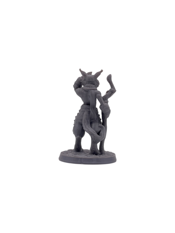 Tabaxi Monk Male