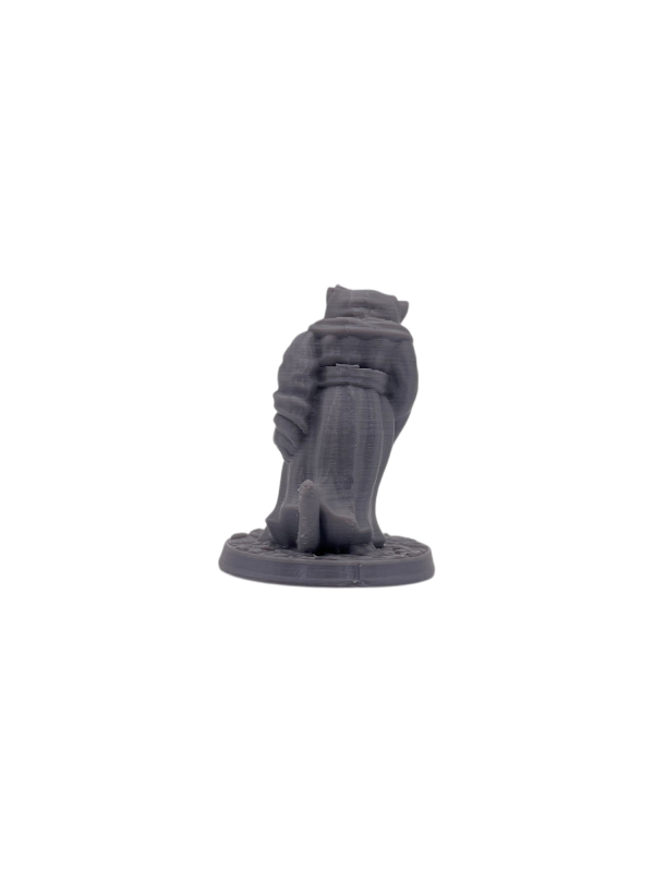 Tabaxi Rogue