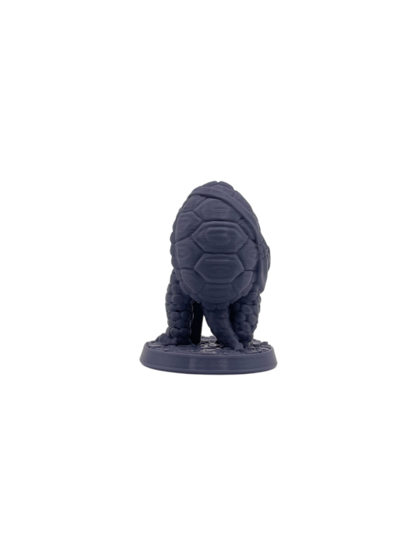 Tortle Monk 1