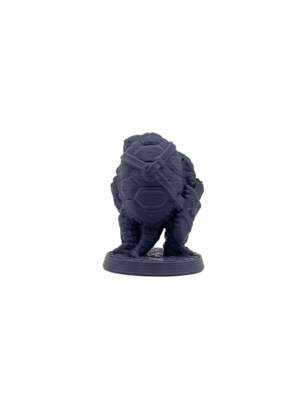 Tortle Ranger