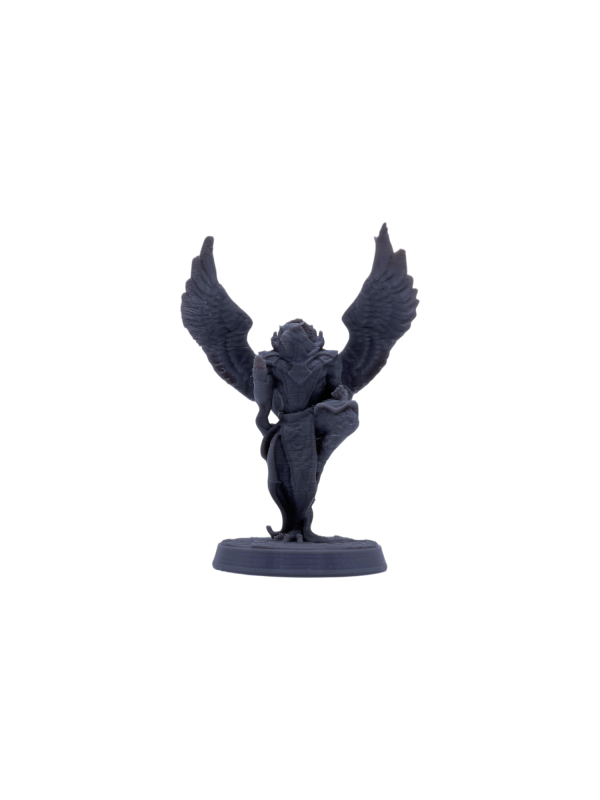 Aarakocra Monk Male